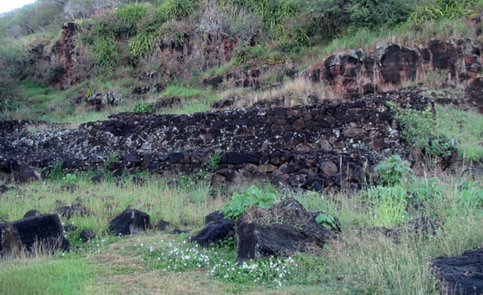 Pahua Heiau, Oahu