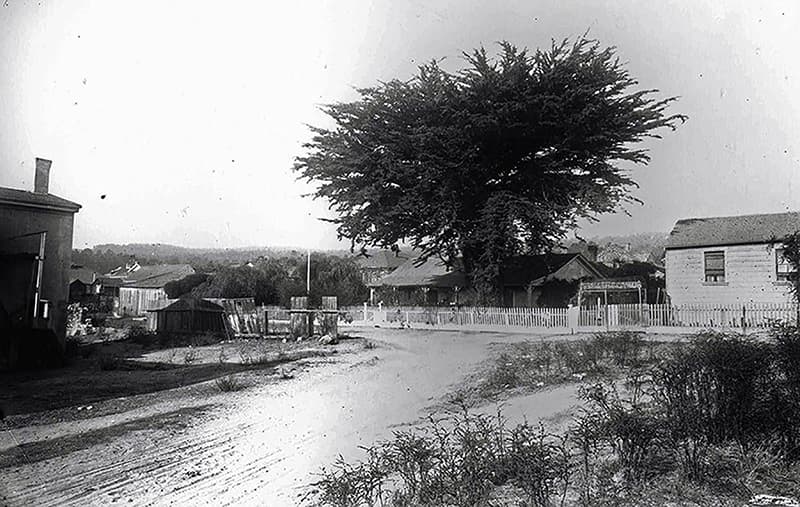 The Life and Times of Tiburcio Vasquez