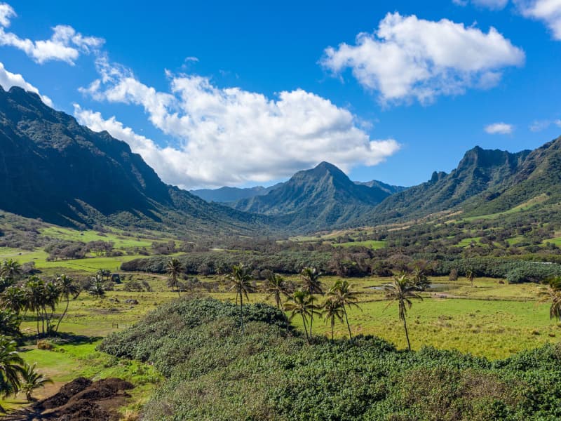 Ka a Awa Valley Oahu