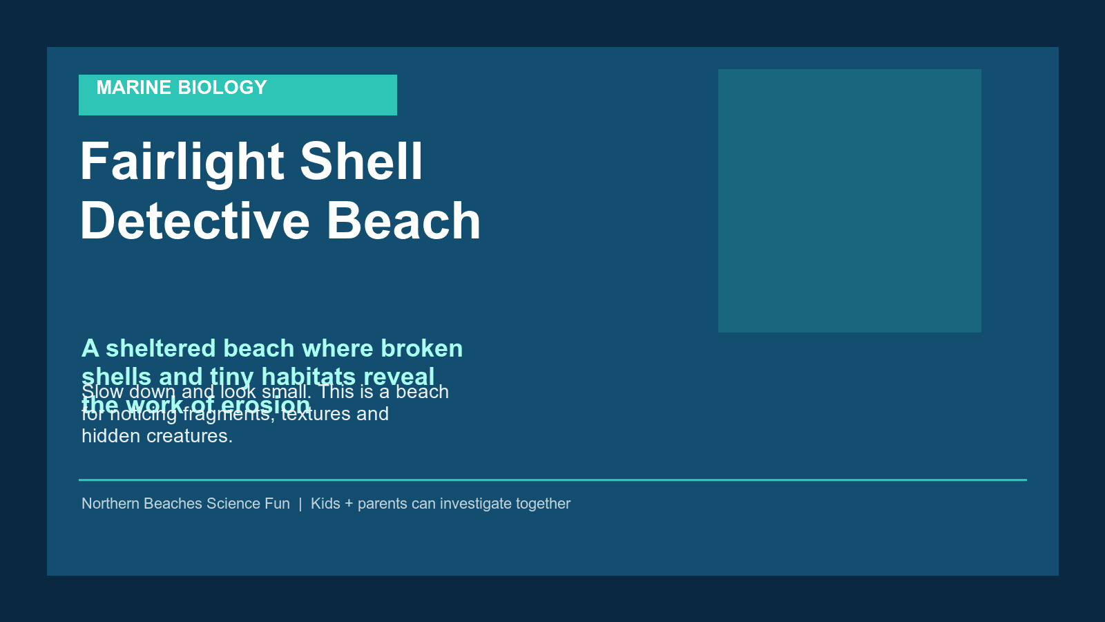 Fairlight Shell Detective Beach science poster for kids and families.