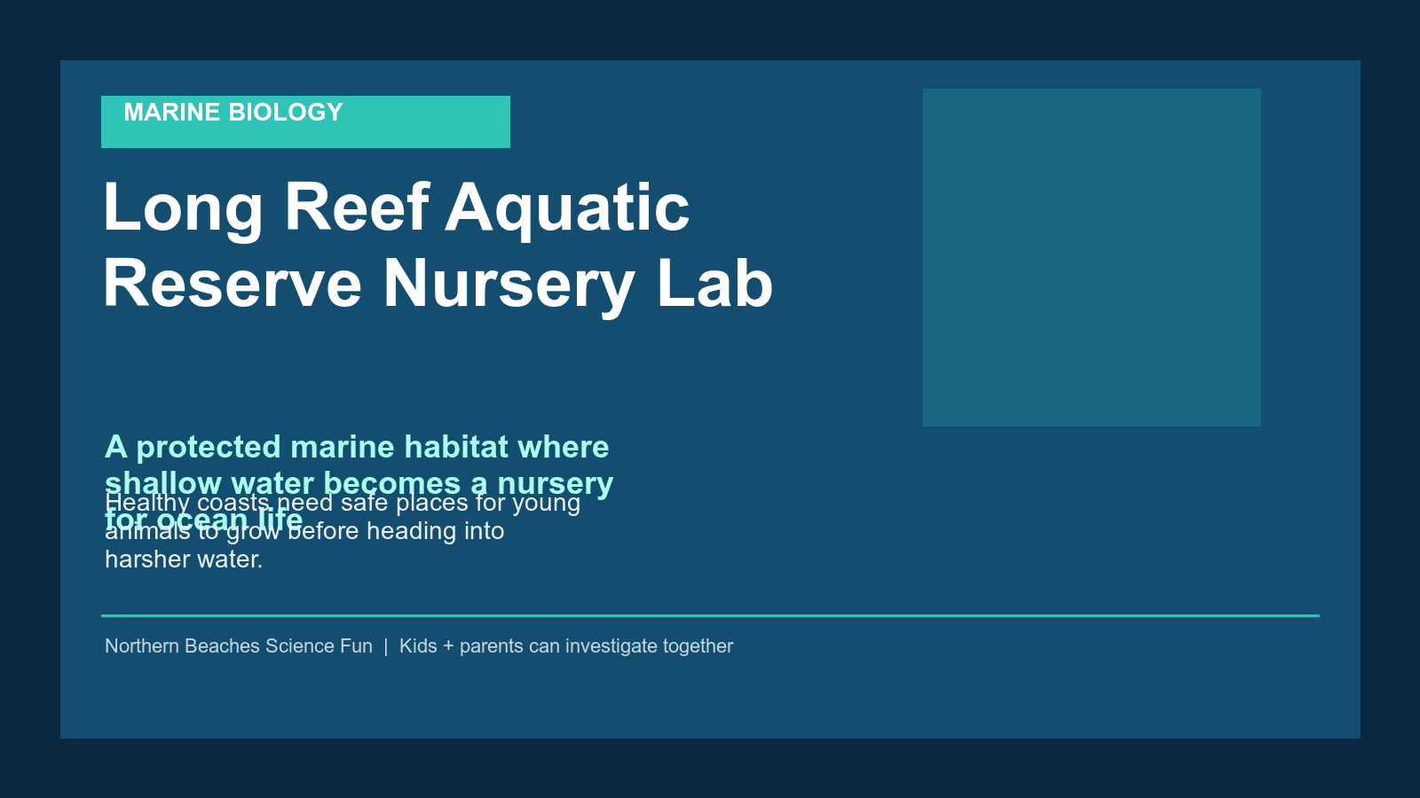 Long Reef Aquatic Reserve Nursery Lab science poster for kids and families.