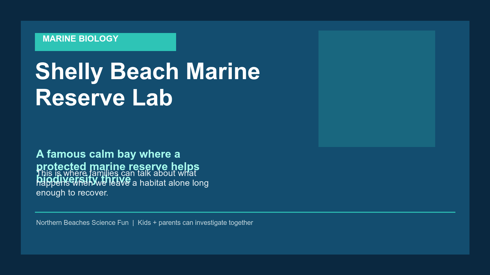 Shelly Beach Marine Reserve Lab science poster for kids and families.