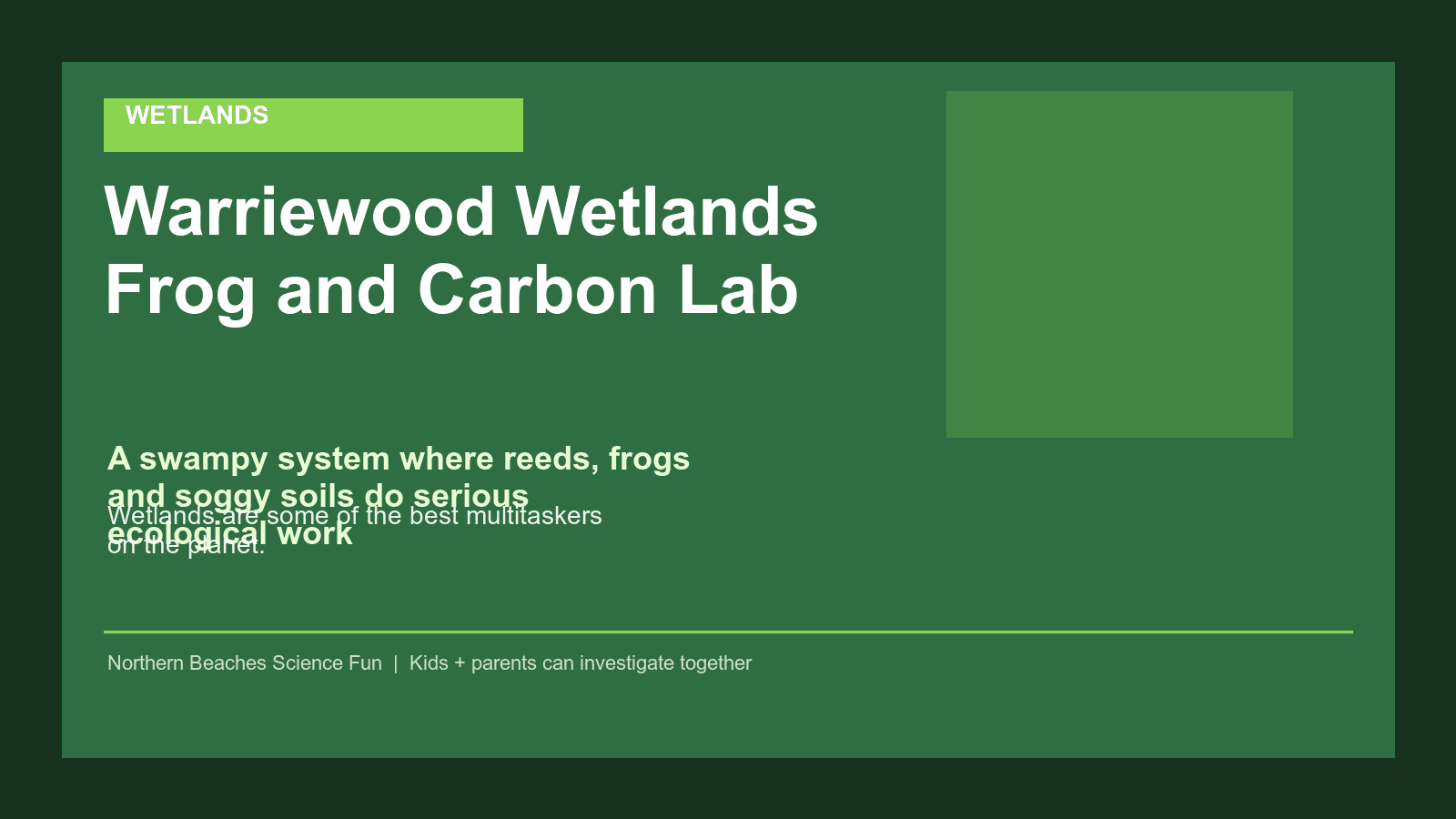Warriewood Wetlands Frog and Carbon Lab science poster for kids and families.
