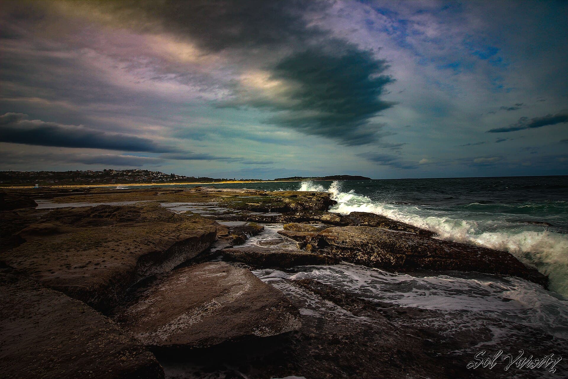 Dee Why Lagoon with wetland water and surrounding vegetation.